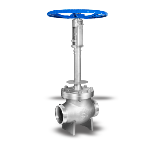 Cryogenic Gate/Globe Valve