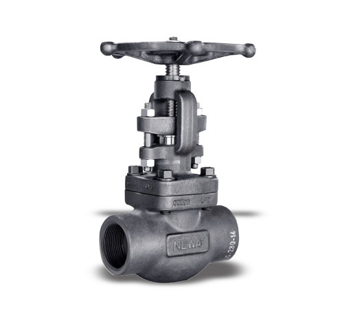 API 602 Forged Steel Valve