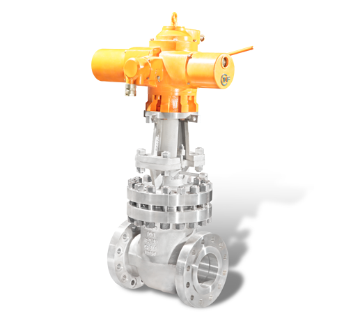 Nuclear Power Gate Valve