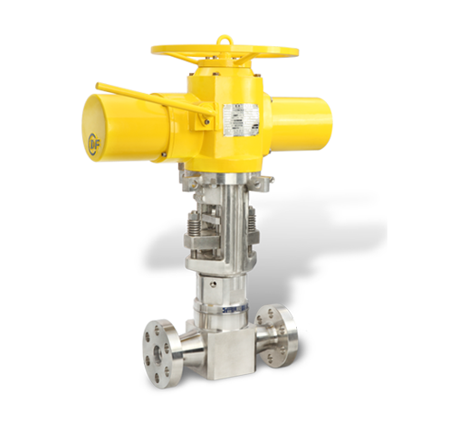 Nuclear Power Globe Valve