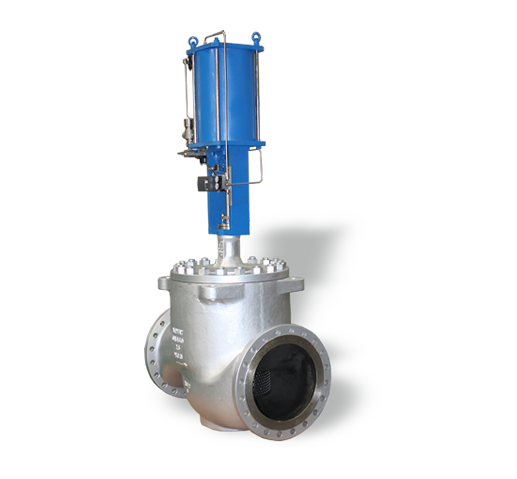 Cage-Guided Control Valve