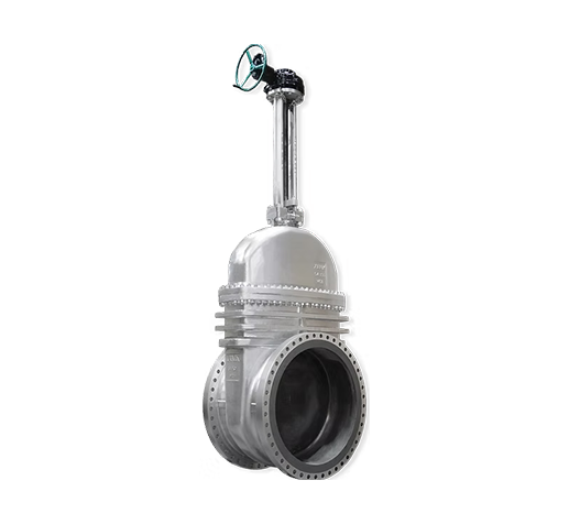 Gate Valve WCB Body Trim 5